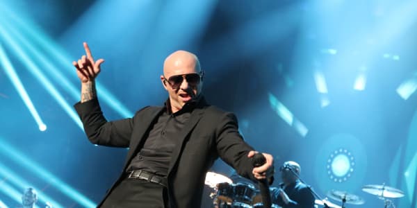 Pitbull by the numbers